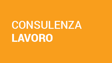 Consulenza Lavoro